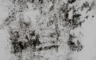 a black and white photo of a wall