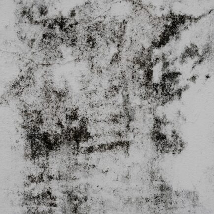 a black and white photo of a wall