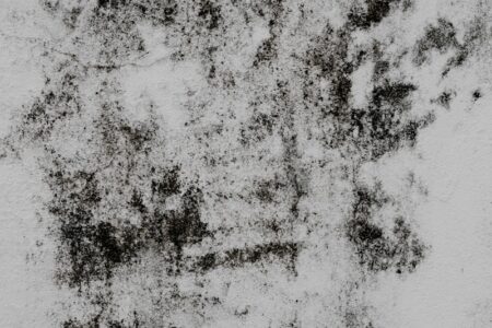 a black and white photo of a wall